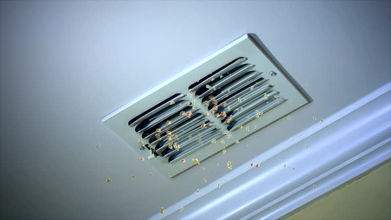 Best Commercial HVAC Duct Cleaning  in Lake Of The Woods, IL