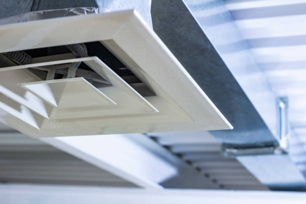 Best HVAC Duct Inspection Services  in Lake Of The Woods, IL