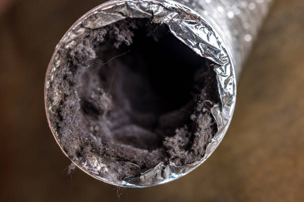 Best Dryer Vent Cleaning Services  in Lake Of The Woods, IL